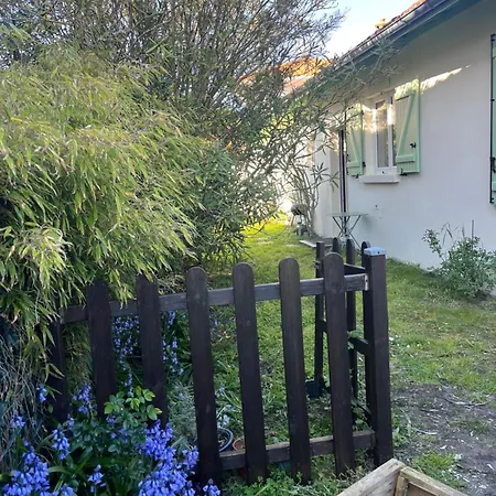 Maison T3 Mitoyenne Avec Jacuzzi Et Jardin *