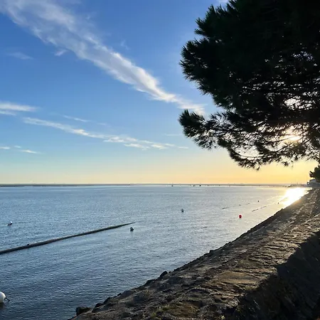 Maison T3 Mitoyenne Avec Jacuzzi Et Jardin Holiday home Arcachon